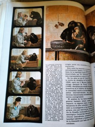 Tomo 11 Enciclopedia Salvat