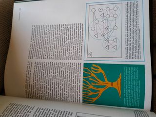 Tomo 11 Enciclopedia Salvat