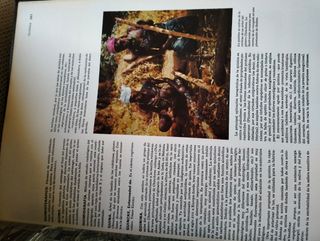 Tomo 11 Enciclopedia Salvat
