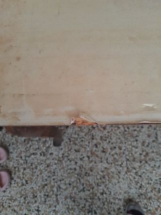 Quadro olio su tela