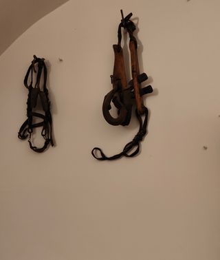 Briglia e redini antiche 