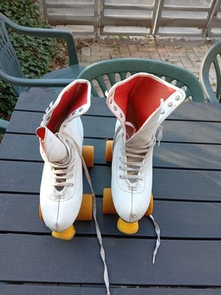 Pattini a rotelle professionali 