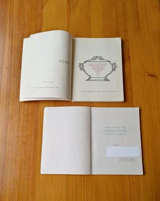 MANUALE DI CUCINA E CONCETTI DI ASSISTENZA ALL'INFANZIA 