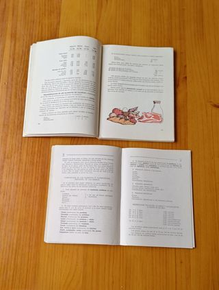 MANUALE DI CUCINA E CONCETTI DI ASSISTENZA ALL'INFANZIA 