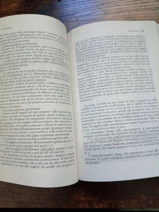 Ricerche e protagonisti della psicologia sociale