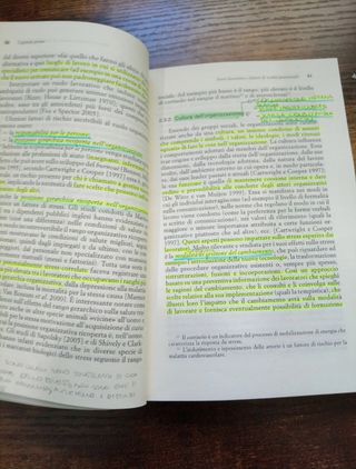Stress e rischi psicosociali nelle organizzazioni. Valutare e controllare i fattori dello stress lavorativo