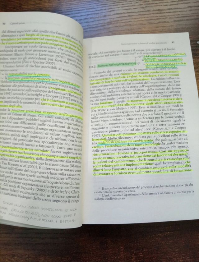 Stress e rischi psicosociali nelle organizzazioni. Valutare e controllare i fattori dello stress lavorativo