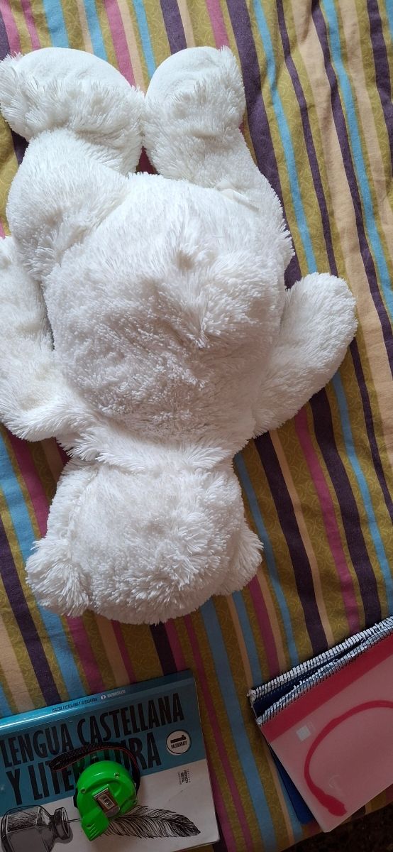 Osito peluche, último precio.