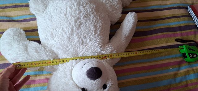 Osito peluche, último precio.