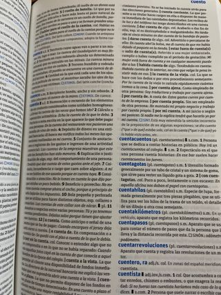 Diccionario Secundaria y Bachillerato.