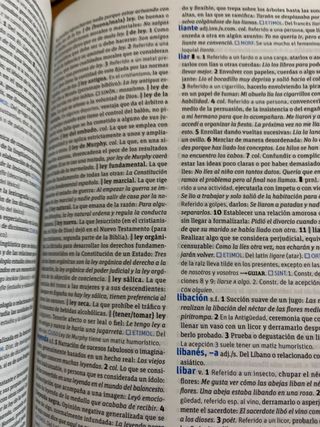 Diccionario Secundaria y Bachillerato.