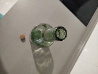 Botella Vintage "Carlos y Javier de Terry S.L."