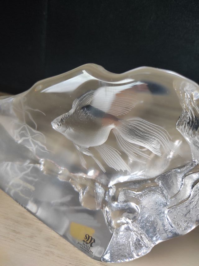 Pisapapeles cristal pez coral 