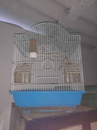 Jaula de pájaros