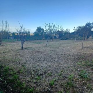 Jardinero económico