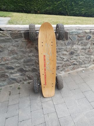 Electric skateboard 