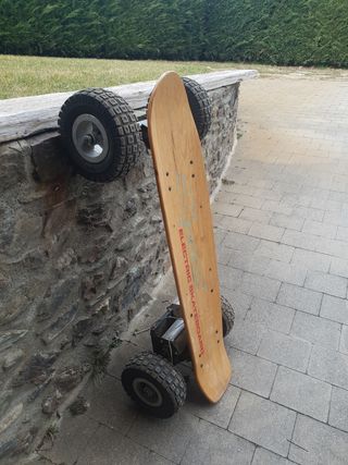 Electric skateboard 