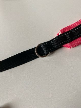 Pettorina e guinzaglio cane 