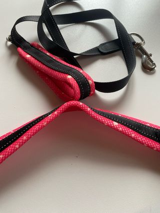 Pettorina e guinzaglio cane 