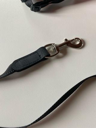 Pettorina e guinzaglio cane 