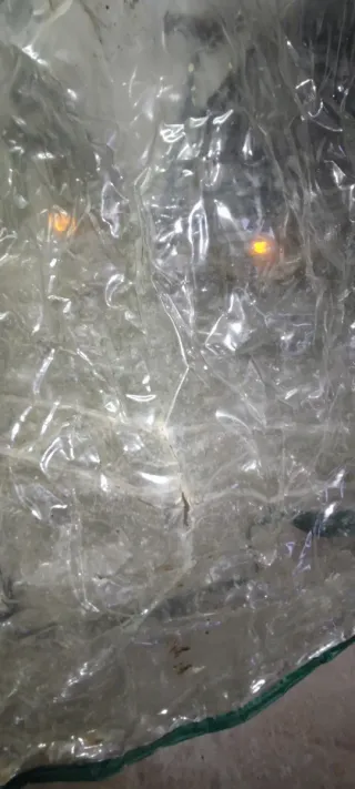 Invernadero de Exterior