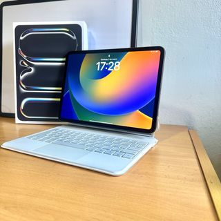 IPAD PRO 11 M4 256GB 
