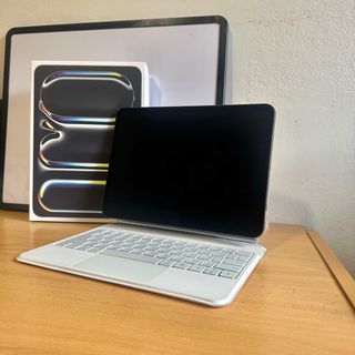 IPAD PRO 11 M4 256GB 