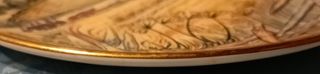 Piatto decorativo porcellana inglese Royal Kendal