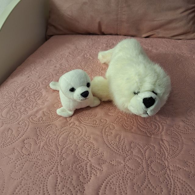 Set foche di peluches 