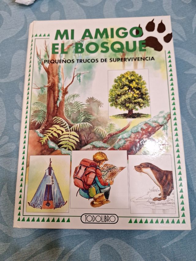 Mi amigo el bosque