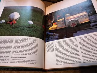 Tomo 2 Enciclopedia Salvat Medicina