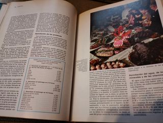 Tomo 2 Enciclopedia Salvat Medicina