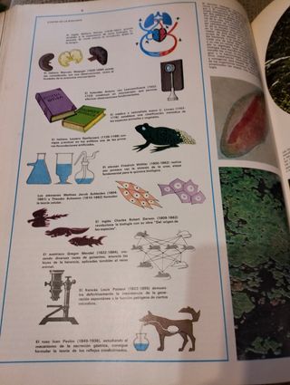 Tomo 2 Enciclopedia Salvat Medicina