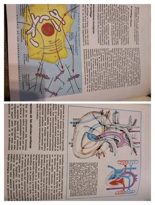 Tomo 2 Enciclopedia Salvat Medicina