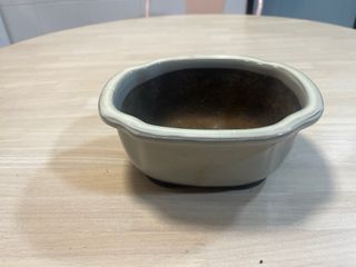 Maceta yokaichi bonsai