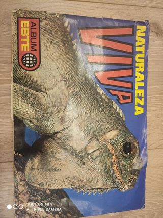 Antiguo album, naturaleza viva