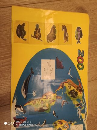 Antiguo album, naturaleza viva