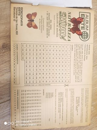 Antiguo album, naturaleza viva