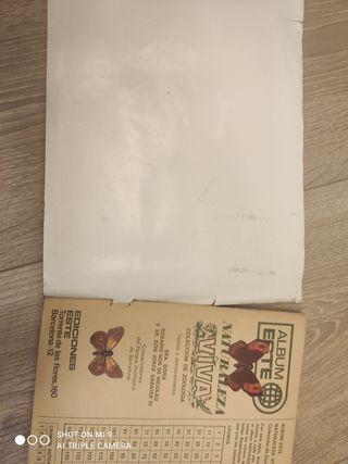 Antiguo album, naturaleza viva