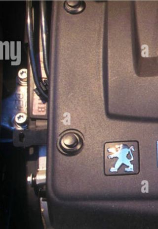 Tapones fijación Peugeot  Citroen