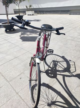 Bicicleta bh bolero