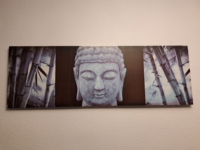 Cuadro budas