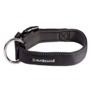 COLLARE PER CANE