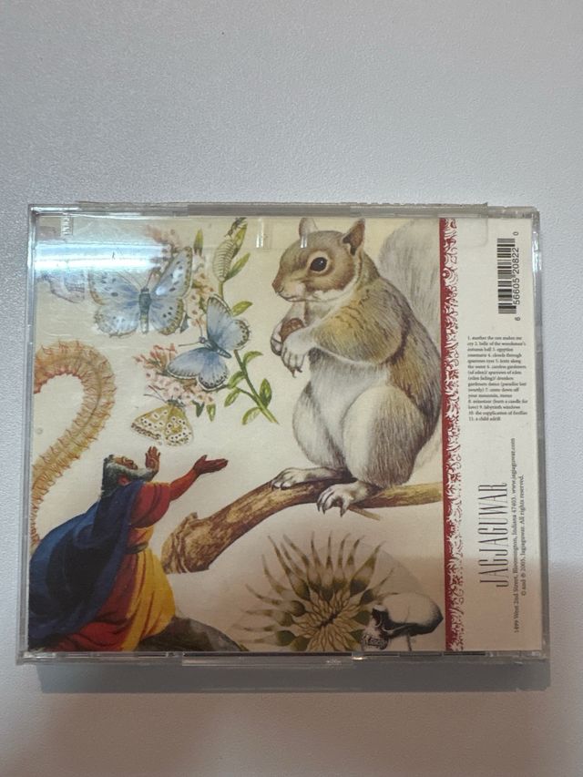 CD The Skygreen Leopards: Life and Love