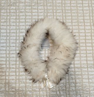 Collo Sandro Ferrone