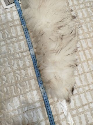 Collo Sandro Ferrone