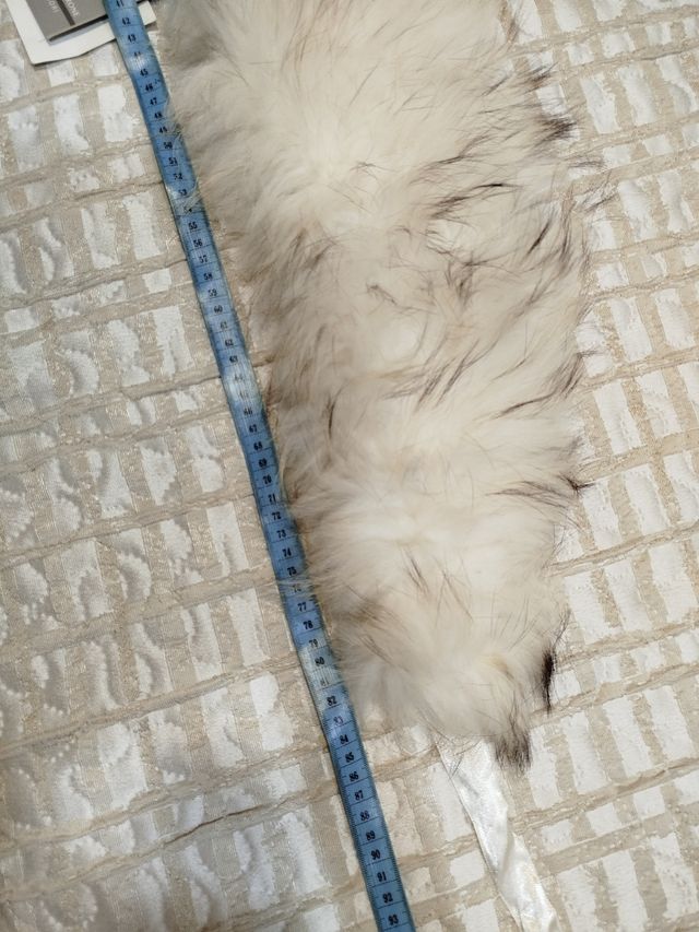 Collo Sandro Ferrone