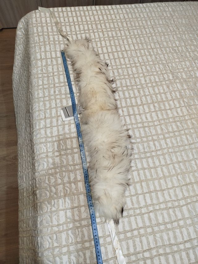 Collo Sandro Ferrone