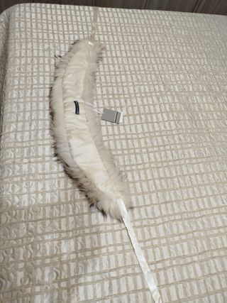 Collo Sandro Ferrone