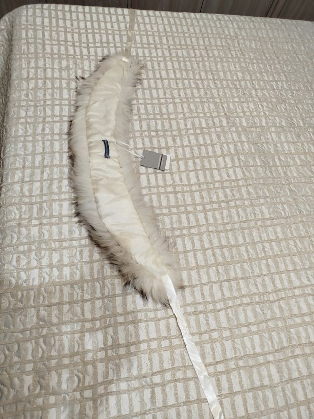 Collo Sandro Ferrone